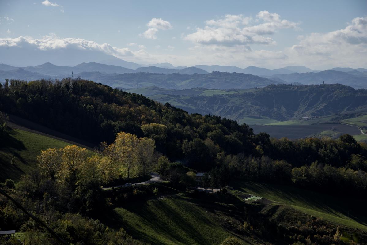 (foto riviera di rimini)
