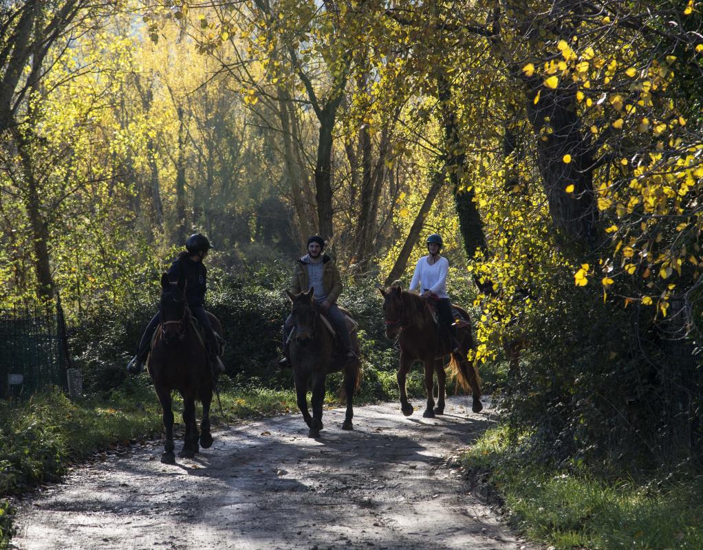 (foto riviera di rimini)